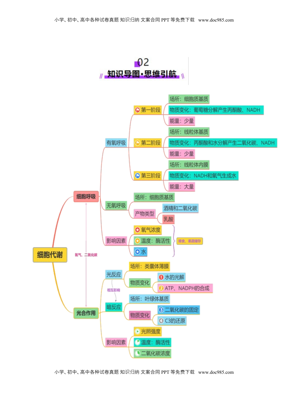 高考生物复习  第04讲 细胞呼吸和光合作用（讲义）（原卷版）.docx
