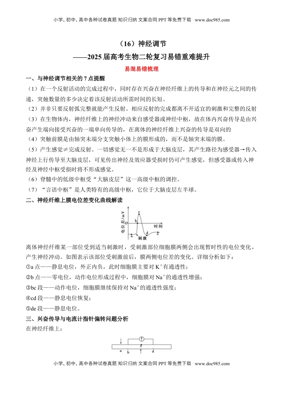 高考生物复习  （16）神经调节——2025届高考生物二轮复习易错重难提升学案（含解析）.docx