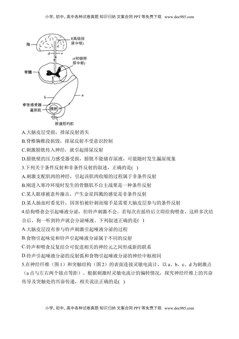 高考生物复习  （16）神经调节——2025届高考生物二轮复习易错重难提升学案（含解析）.docx