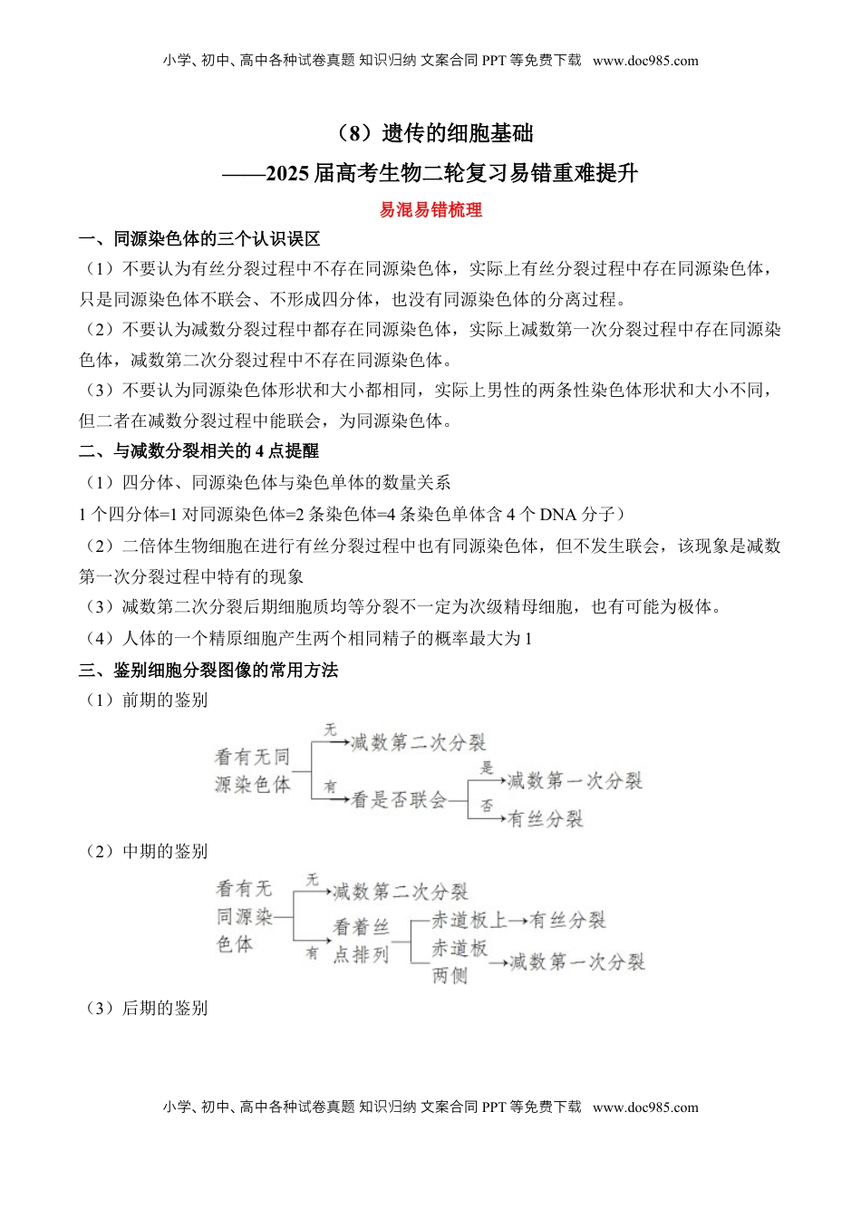 高考生物复习  （8）遗传的细胞基础——2025届高考生物二轮复习易错重难提升（含解析）.docx