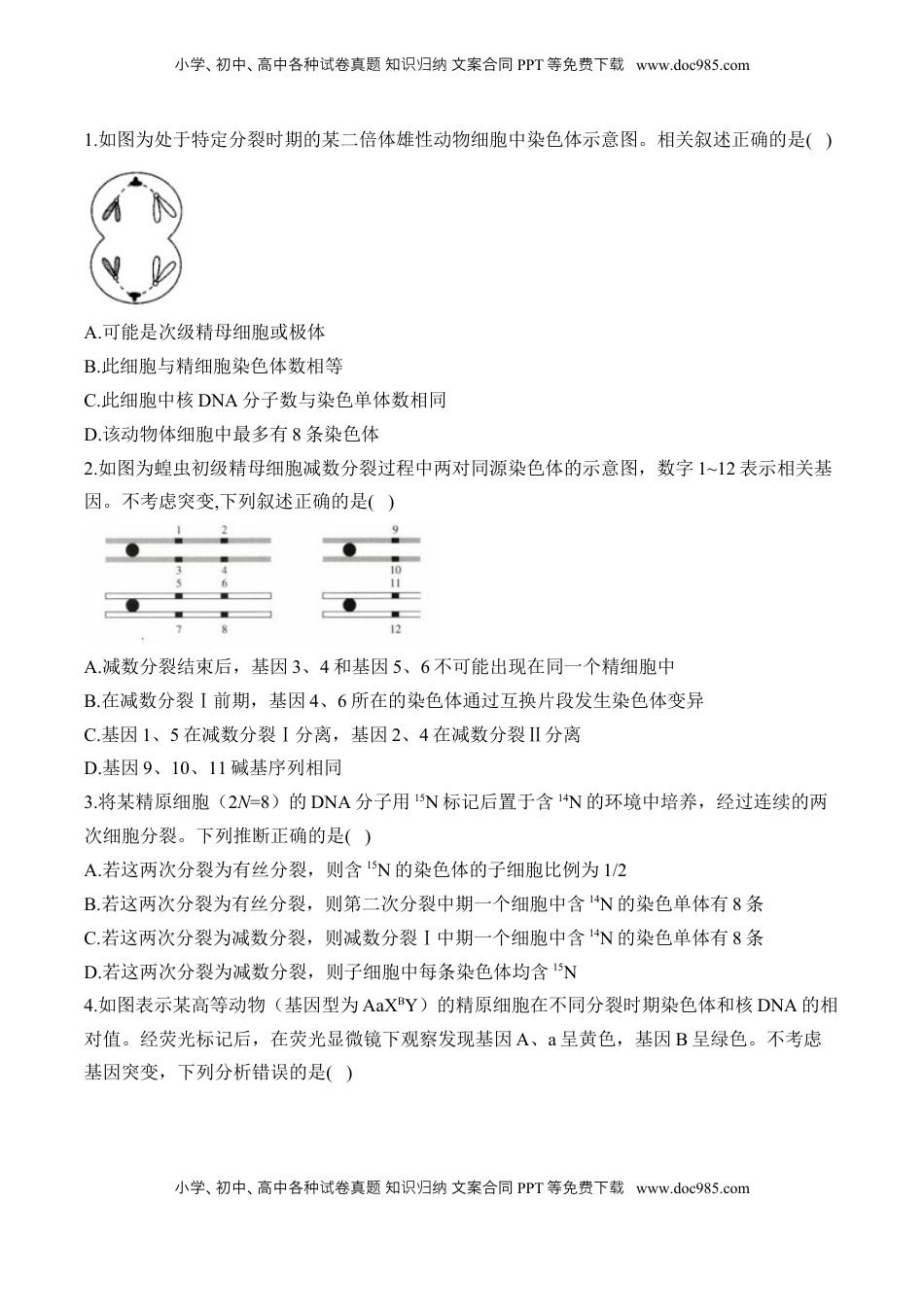 高考生物复习  （8）遗传的细胞基础——2025届高考生物二轮复习易错重难提升（含解析）.docx