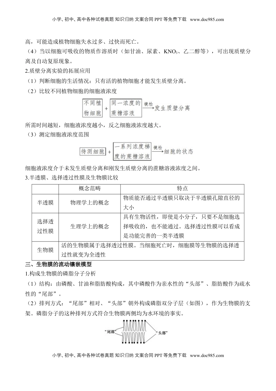 高考生物复习  （3）细胞的物质输入和输出——2025届高考生物二轮复习易错重难提升（含解析）.docx