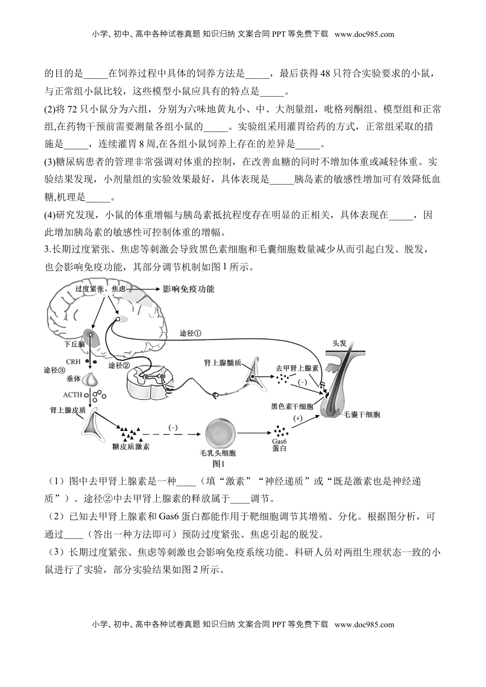 高考生物复习  专题13 实验与探究（非选择题）——2025届高考生物学模块分练【新高考版】（含解析）.docx