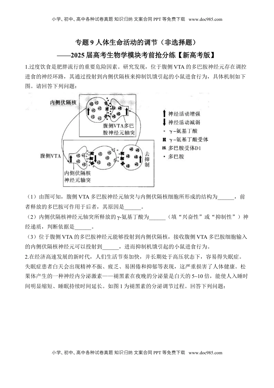 高考生物复习  专题9 人体生命活动的调节（非选择题）——2025届高考生物学模块分练【新高考版】（含解析）.docx