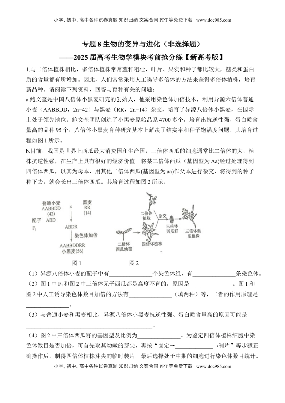 高考生物复习  专题8 生物的变异与进化（非选择题）——2025届高考生物学模块分练【新高考版】（含解析）.docx