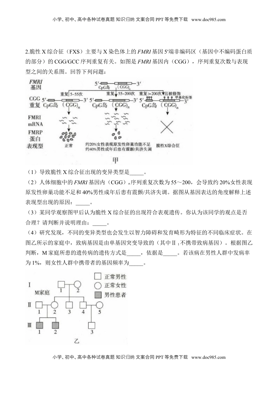 高考生物复习  专题8 生物的变异与进化（非选择题）——2025届高考生物学模块分练【新高考版】（含解析）.docx