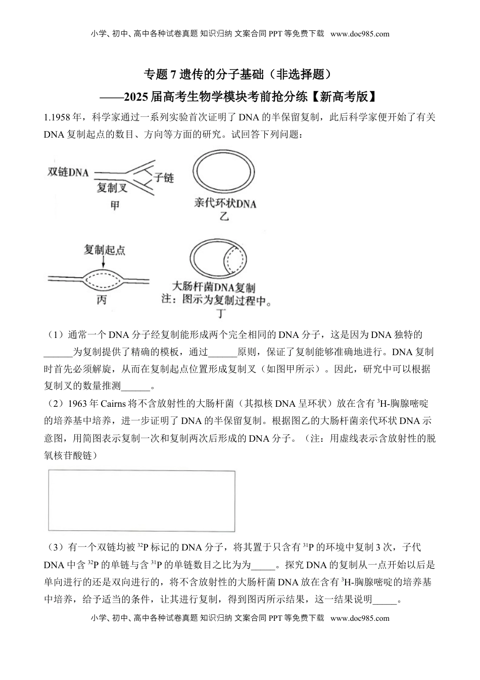 高考生物复习  专题7 遗传的分子基础（非选择题）——2025届高考生物学模块分练【新高考版】（含解析）.docx