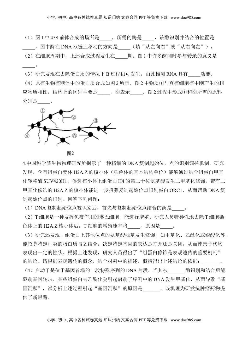 高考生物复习  专题7 遗传的分子基础（非选择题）——2025届高考生物学模块分练【新高考版】（含解析）.docx