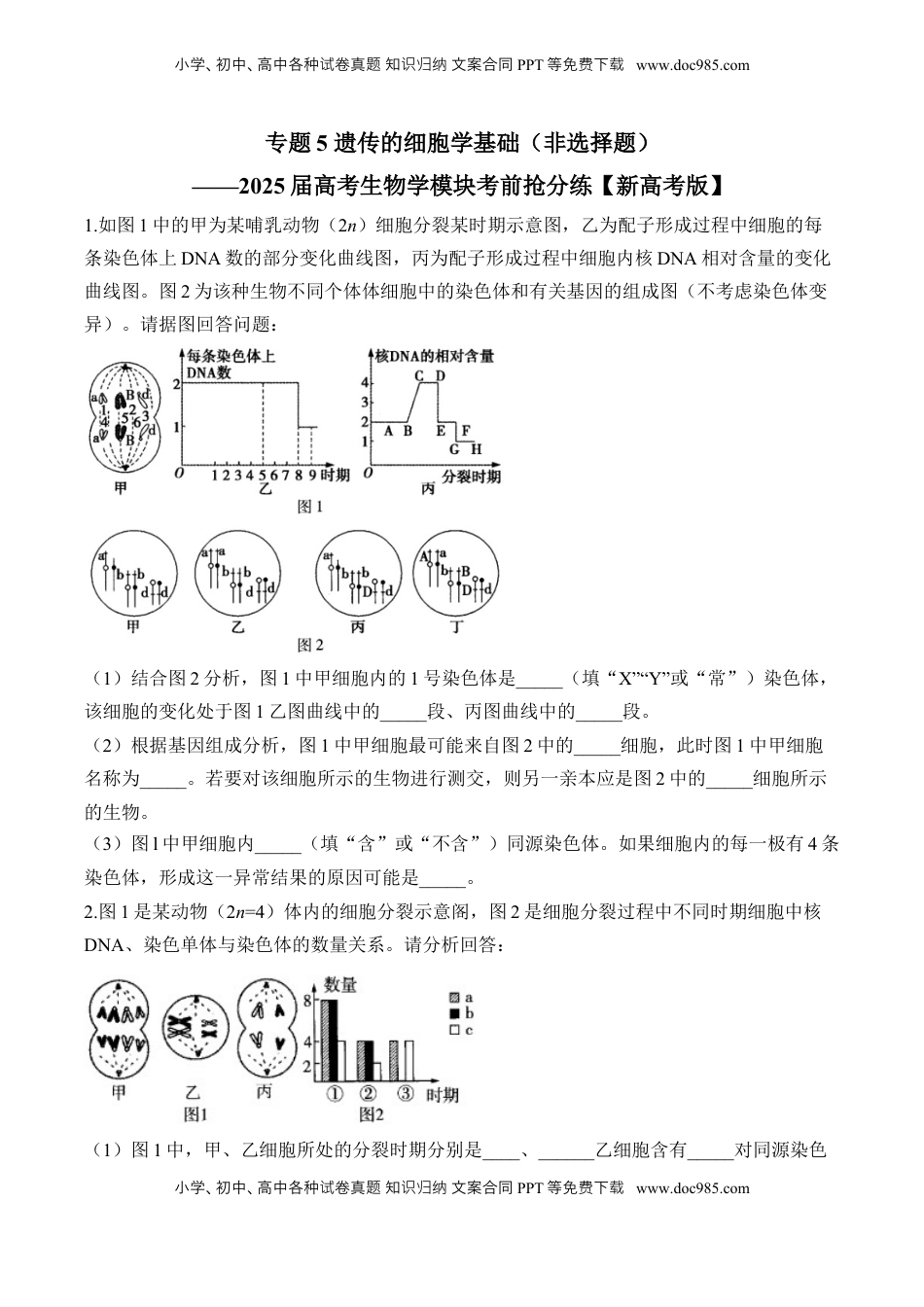 高考生物复习  专题5 遗传的细胞学基础（非选择题）——2025届高考生物学模块分练【新高考版】（含解析）.docx