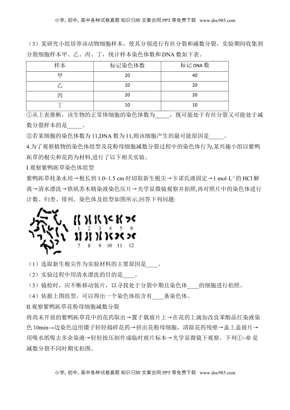 高考生物复习  专题5 遗传的细胞学基础（非选择题）——2025届高考生物学模块分练【新高考版】（含解析）.docx