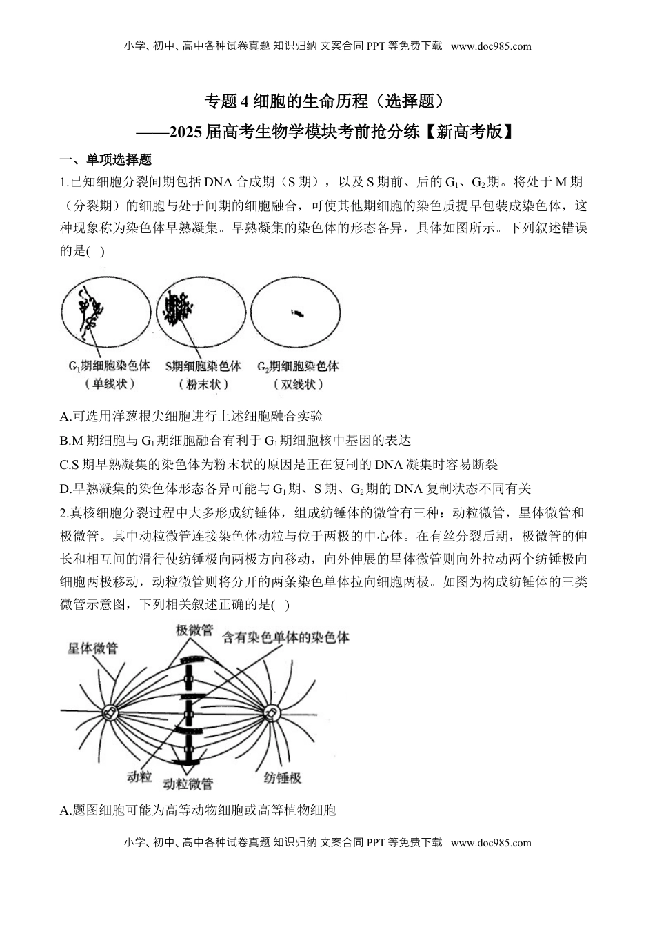 高考生物复习  专题4 细胞的生命历程（选择题）——2025届高考生物学模块分练【新高考版】（含解析）.docx