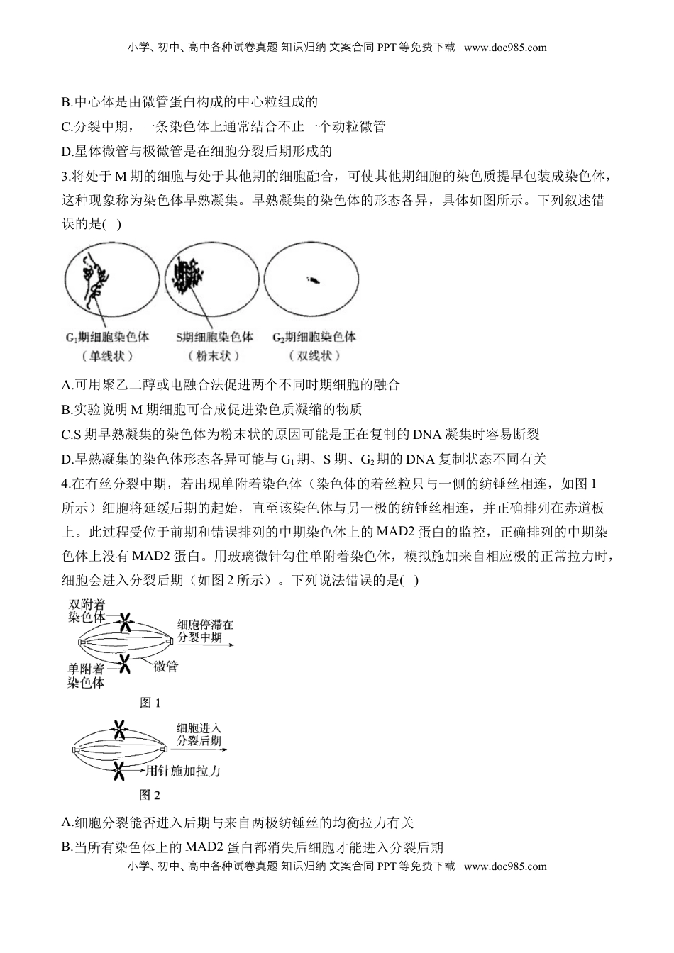 高考生物复习  专题4 细胞的生命历程（选择题）——2025届高考生物学模块分练【新高考版】（含解析）.docx