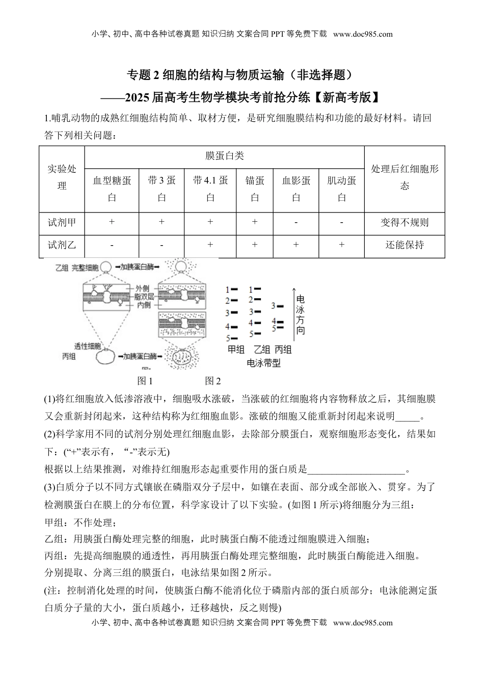 高考生物复习  专题2 细胞的结构与物质运输（非选择题）——2025届高考生物学模块分练【新高考版】（含解析）.docx