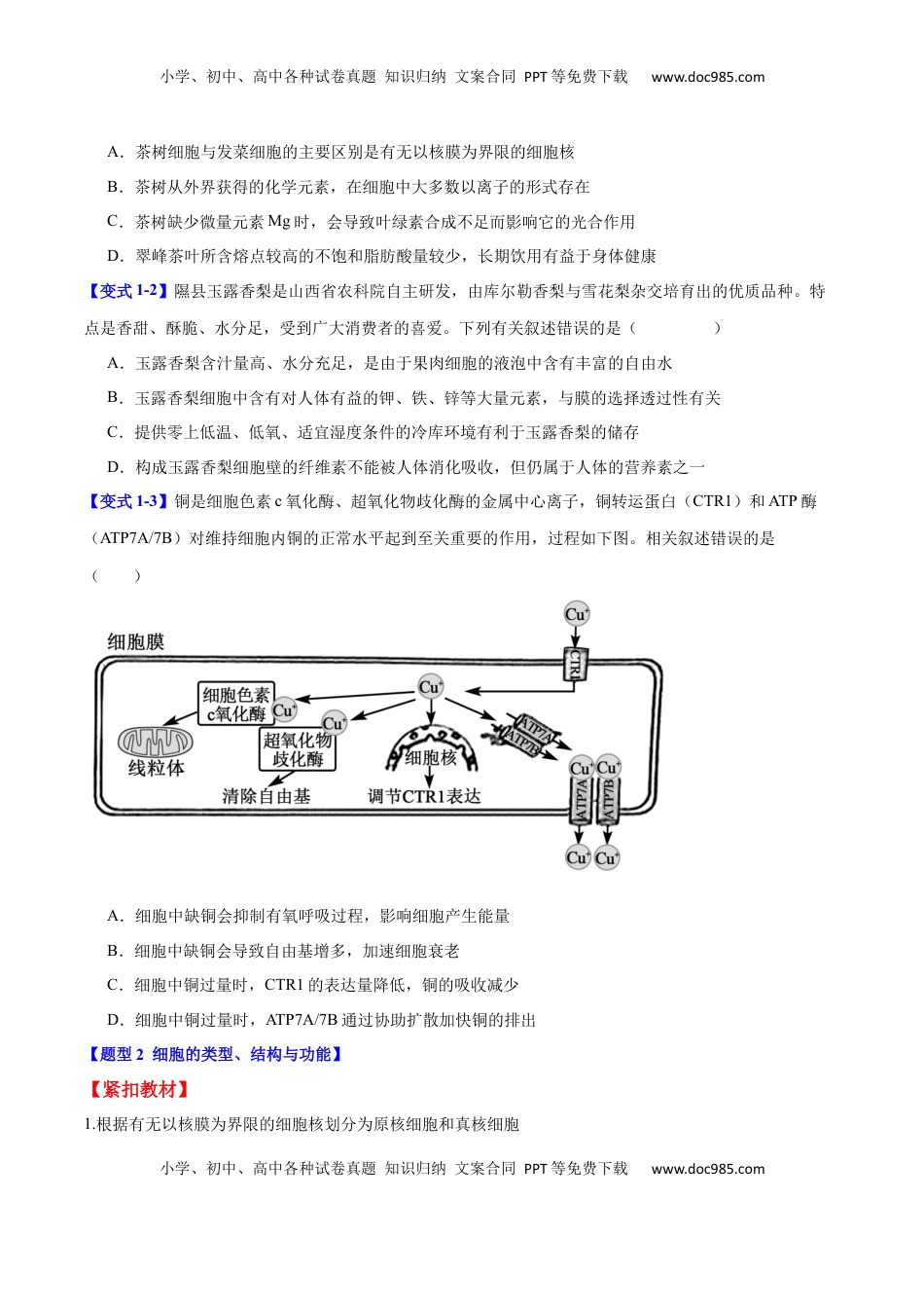 高考生物复习  专题一  细胞的分子组成、结构与功能（原卷版）.docx