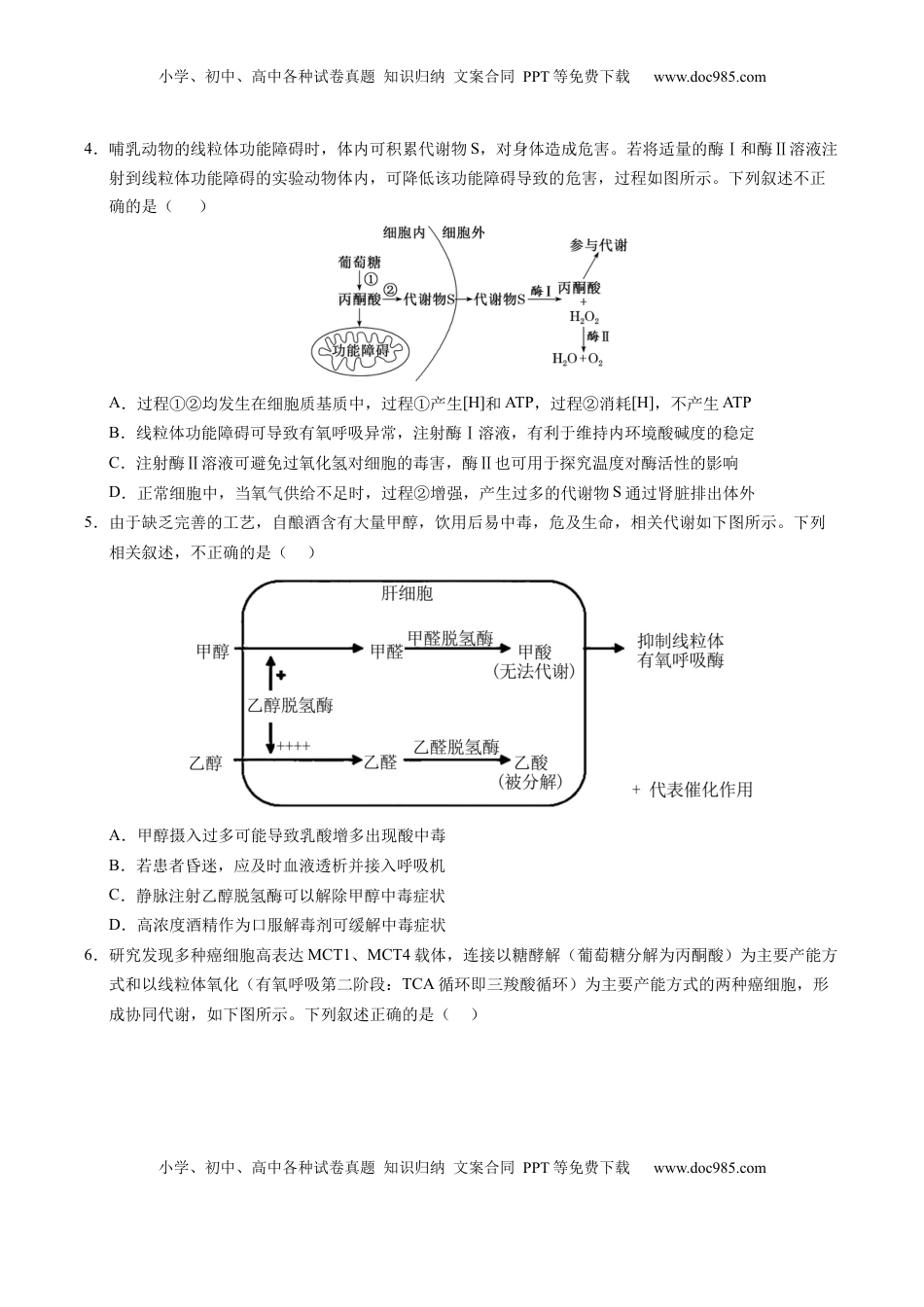 高考生物复习  信息必刷卷01（新高考通用）原卷版.docx