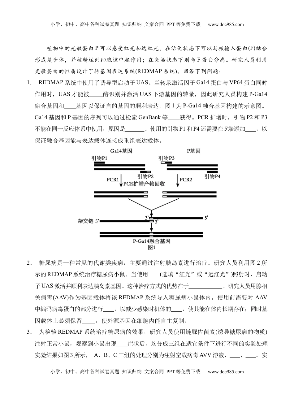 高考生物复习  信息必刷卷01（上海专用）原卷版.docx