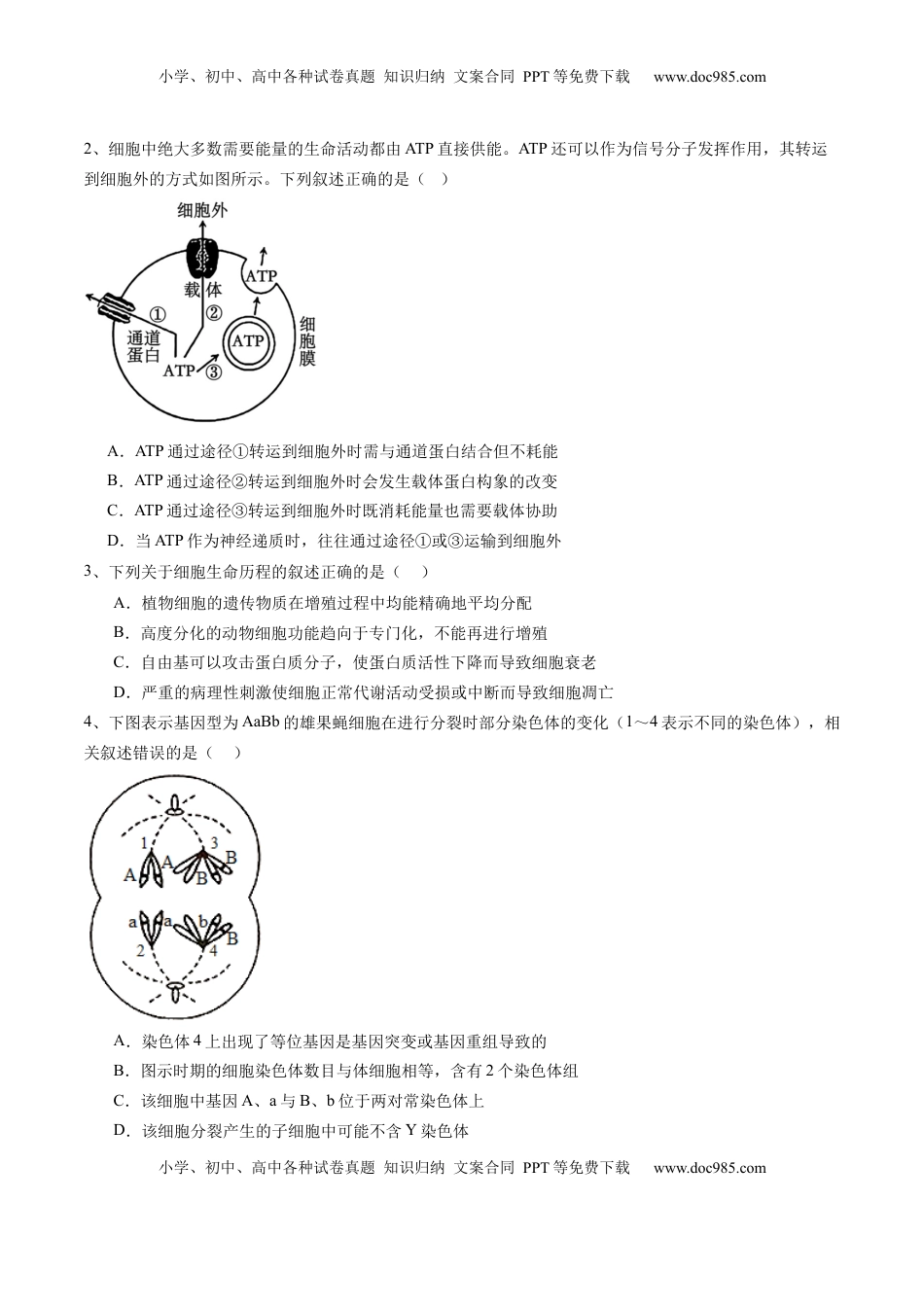 高考生物复习  信息必刷卷04（江苏专用）（原卷版）.docx