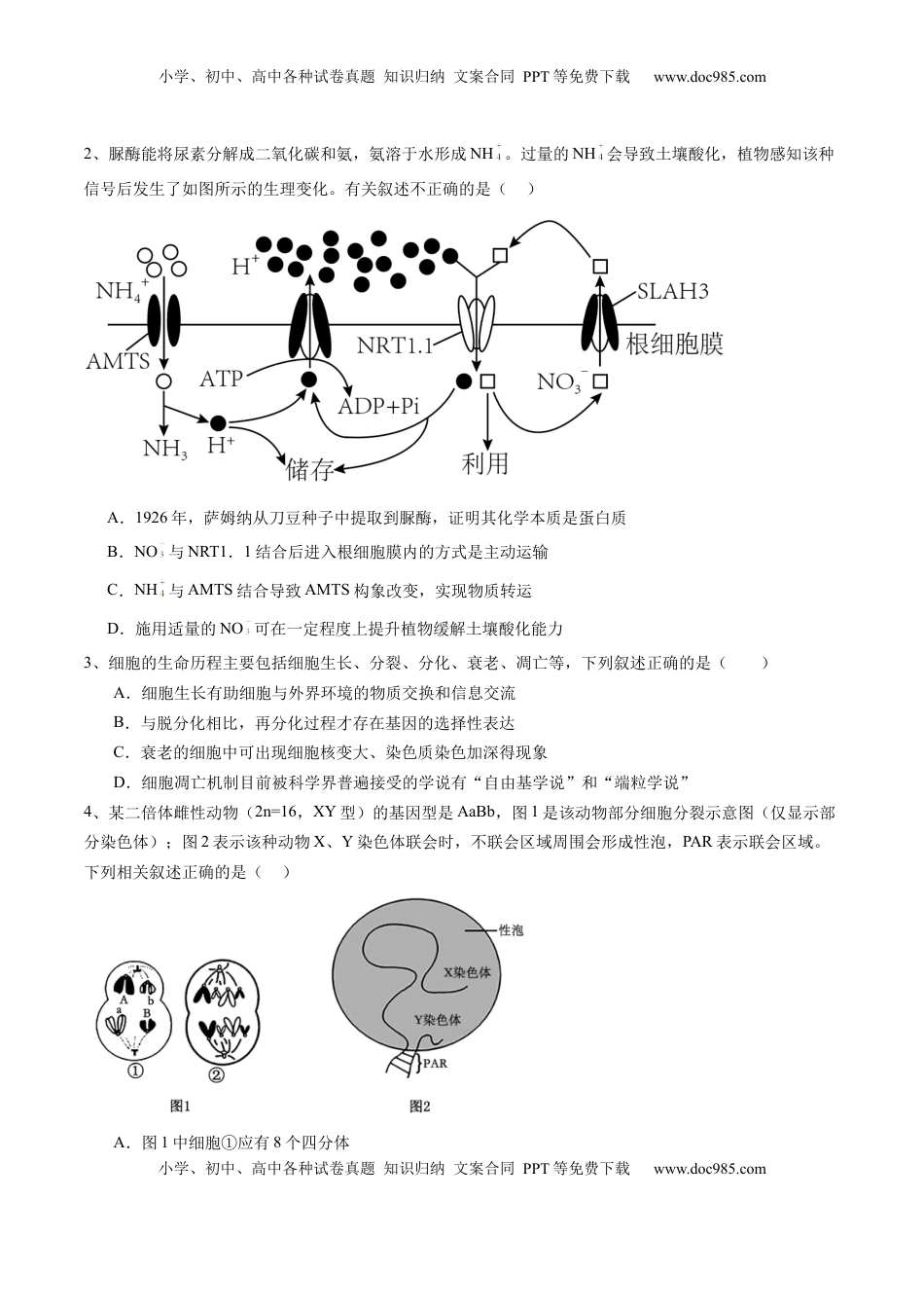 高考生物复习  信息必刷卷01（江苏专用）（原卷版）.docx
