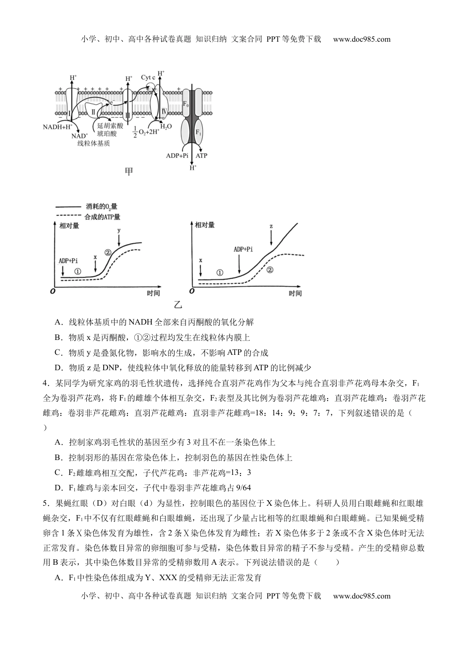 高考生物复习  信息必刷卷02（黑吉辽蒙专用）（解析版）.docx