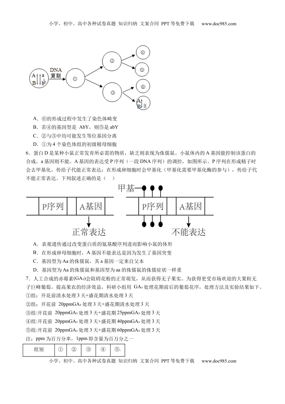 高考生物复习  信息必刷卷01（黑吉辽蒙专用）（原卷版）.docx
