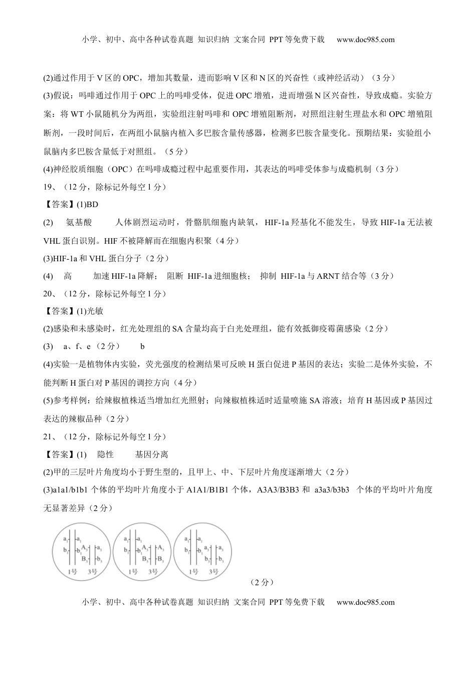 高考生物复习  信息必刷卷05（北京专用）（参考答案）.docx