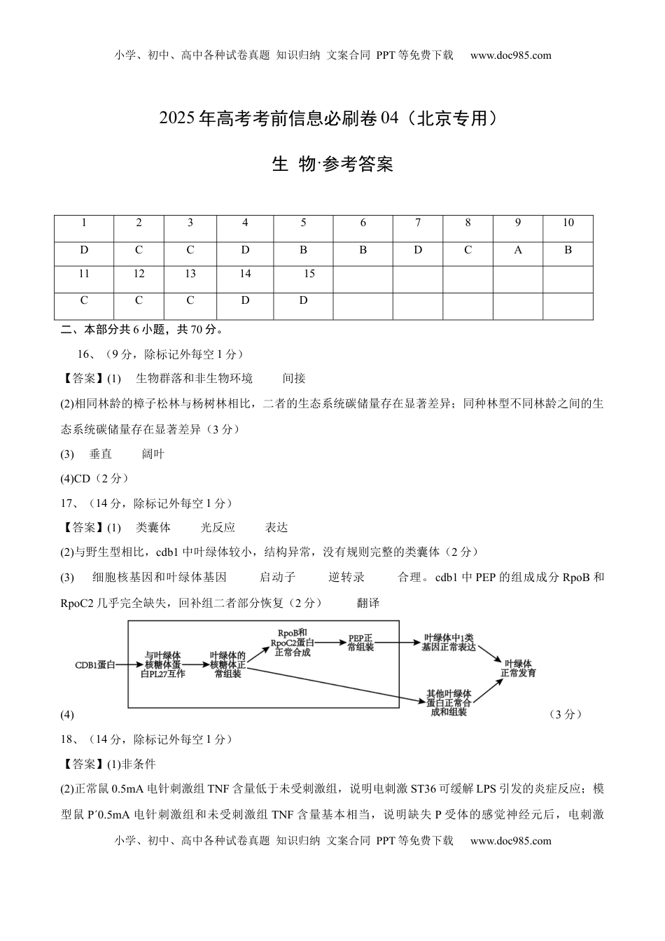 高考生物复习  信息必刷卷04（北京专用）（参考答案）.docx