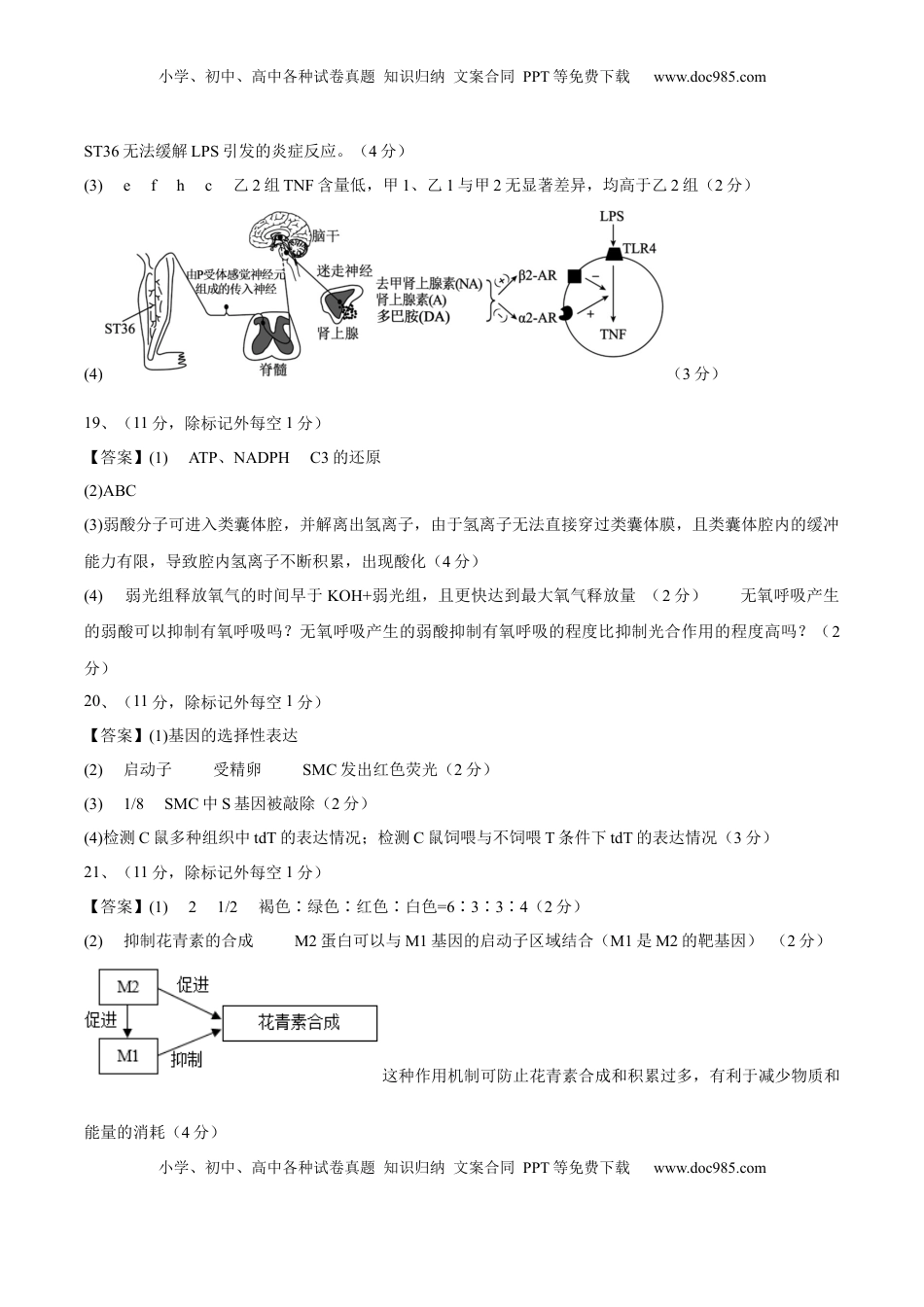 高考生物复习  信息必刷卷04（北京专用）（参考答案）.docx
