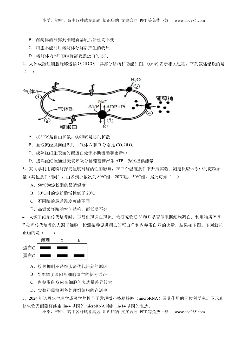 高考生物复习  信息必刷卷03（北京专用）（原卷版）.docx