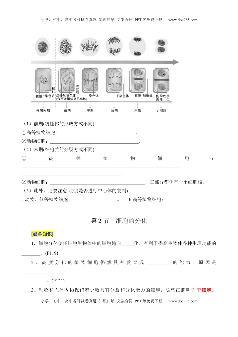 高考生物复习  第6章 细胞的生命历程（填空版）.docx