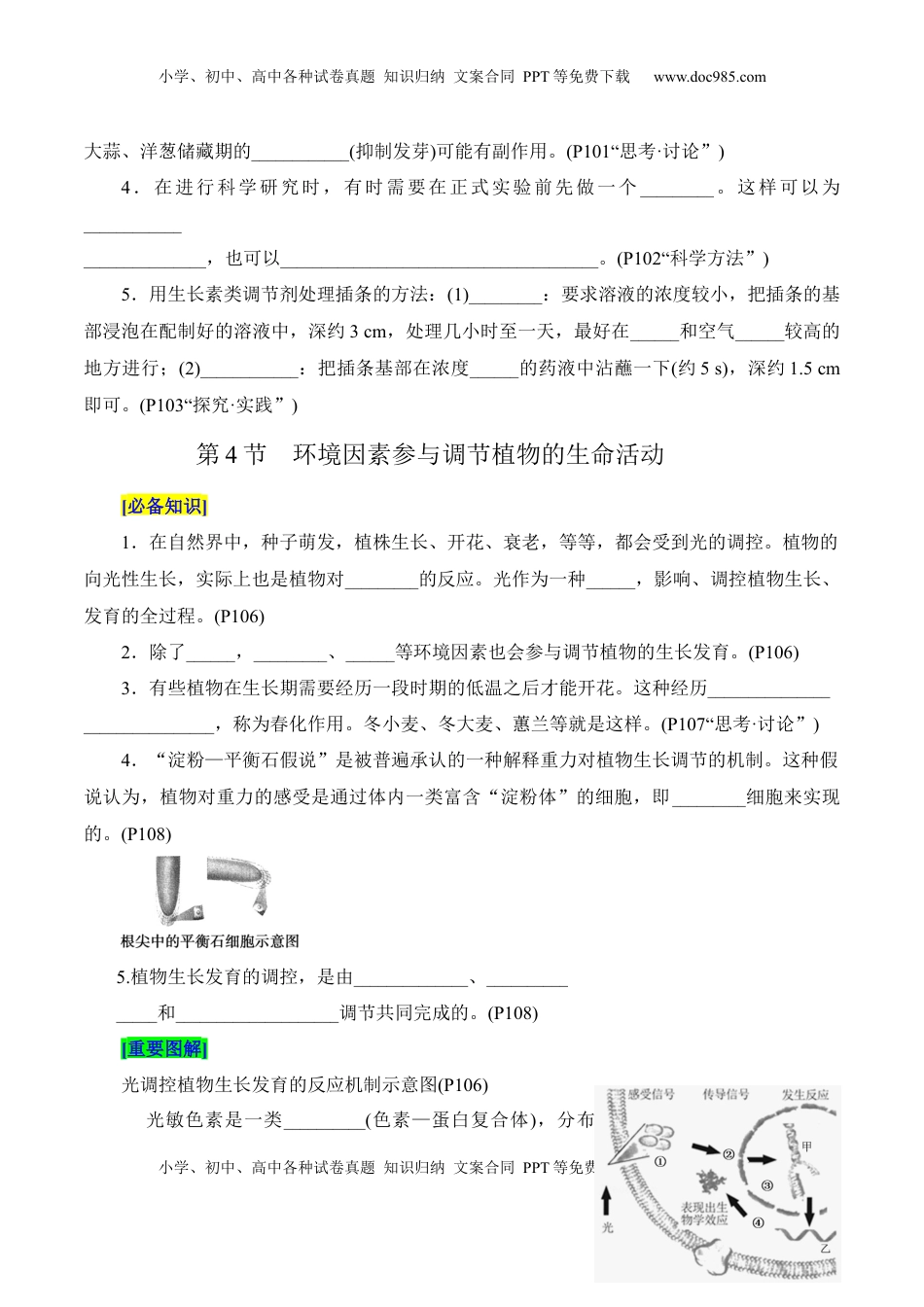 高考生物复习  第5章 植物生命活动的调节（填空版）.docx