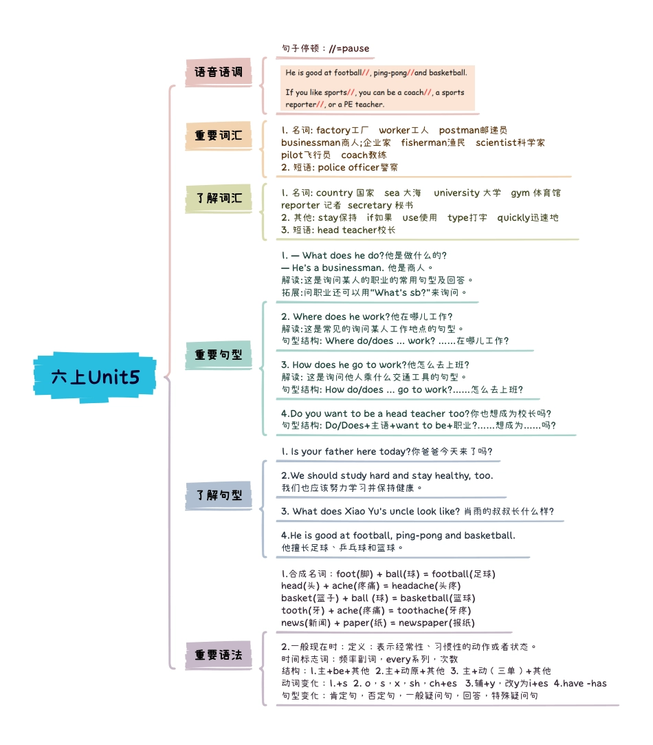 小学英语6上知识点思维导图Unit5 What does he do.pdf