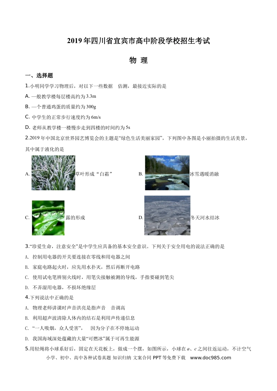 【中考历年真题】精品解析：2019年四川省宜宾市中考物理试题（原卷版）.doc