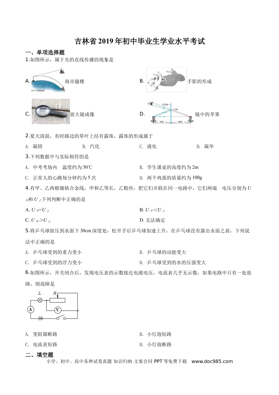 【中考历年真题】精品解析：2019年吉林省中考物理试题（原卷版）.doc