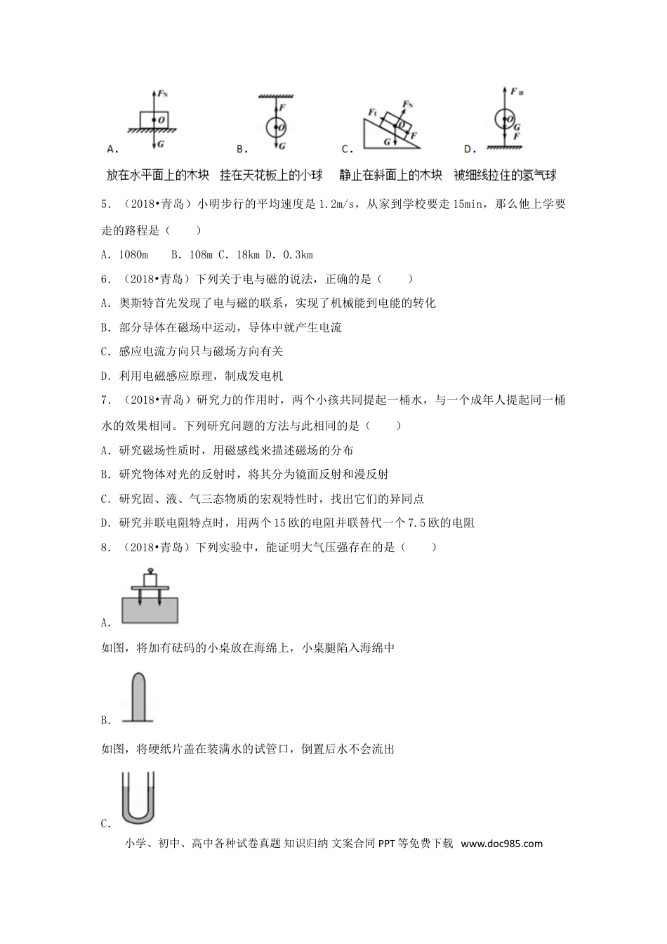 【中考历年真题】山东省青岛市2018年中考物理真题试题（含解析）.doc