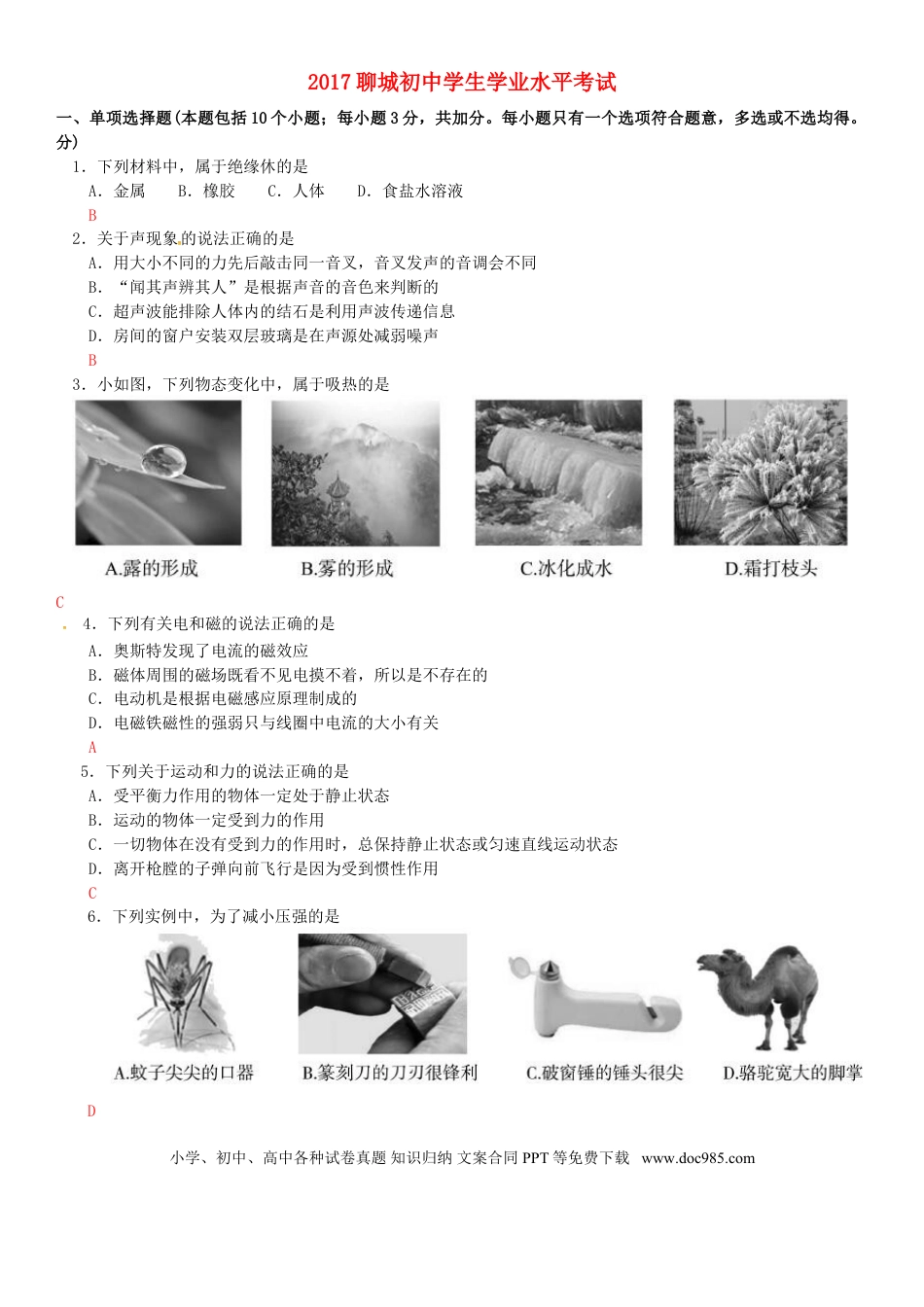 【中考历年真题】山东省聊城市2017年中考物理真题试题（含答案）.doc