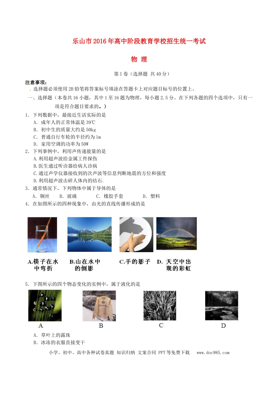 【中考历年真题】四川省乐山市2016年中考物理真题试题（含答案）.doc