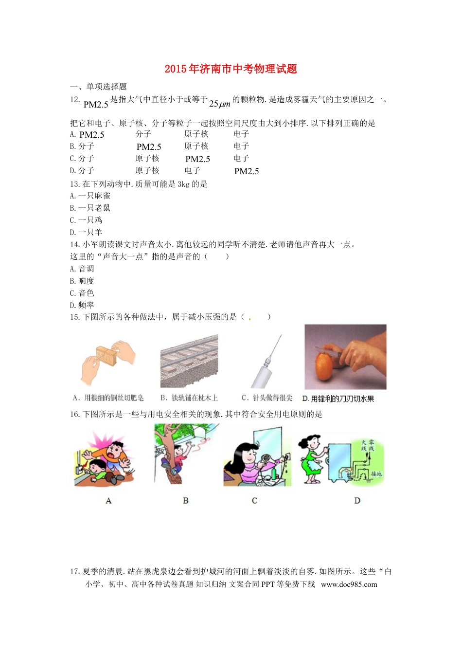 【中考历年真题】山东省济南市2015年中考物理真题试题（含答案）.doc