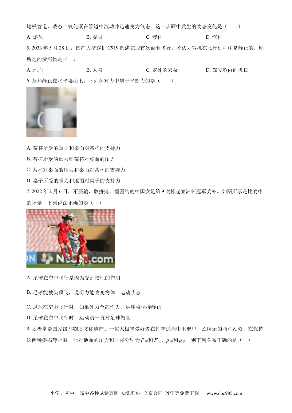 【中考历年真题】精品解析：2023年四川省乐山市中考物理试题（原卷版） (1).docx