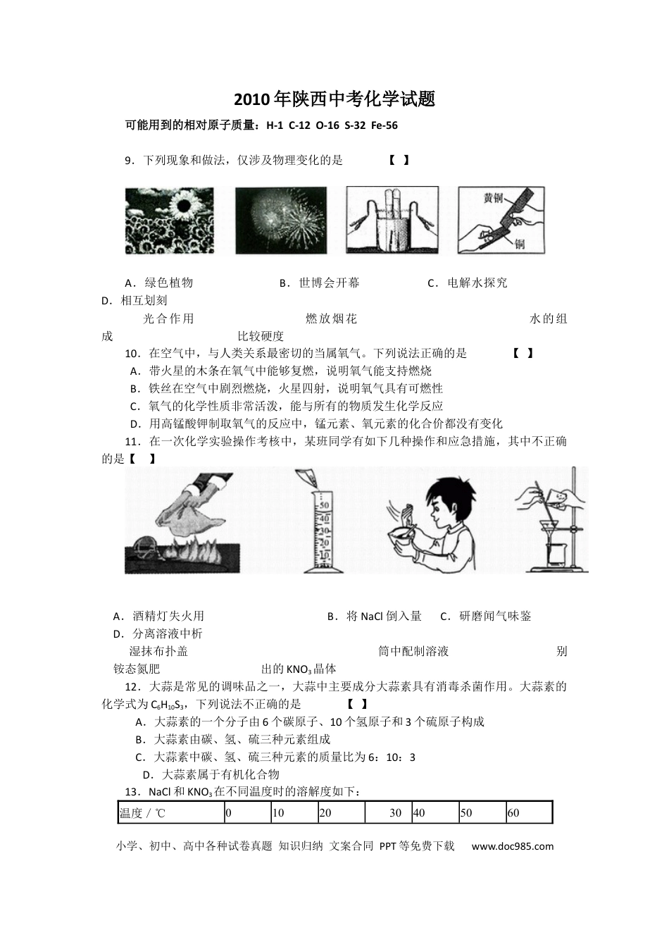 【中考历年真题】陕西省2010年中考化学试题(含答案).docx