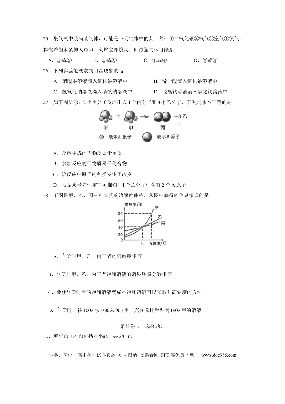 【中考历年真题】2010年山东省聊城市中考化学试卷及答案.docx