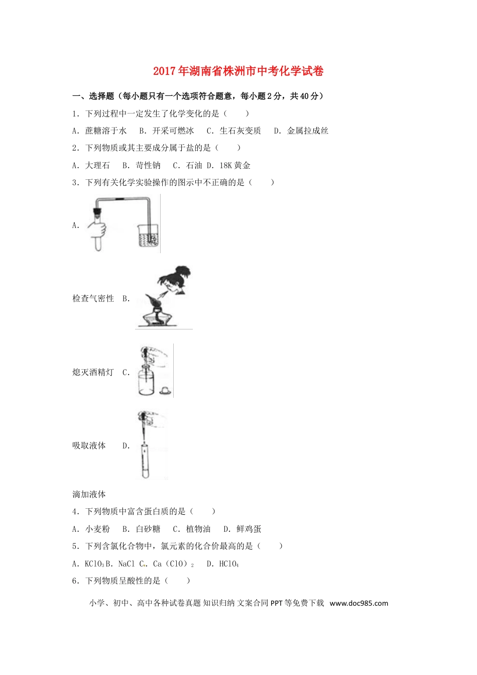 【中考历年真题】湖南省株洲市2017年中考化学真题试题（含解析）.doc
