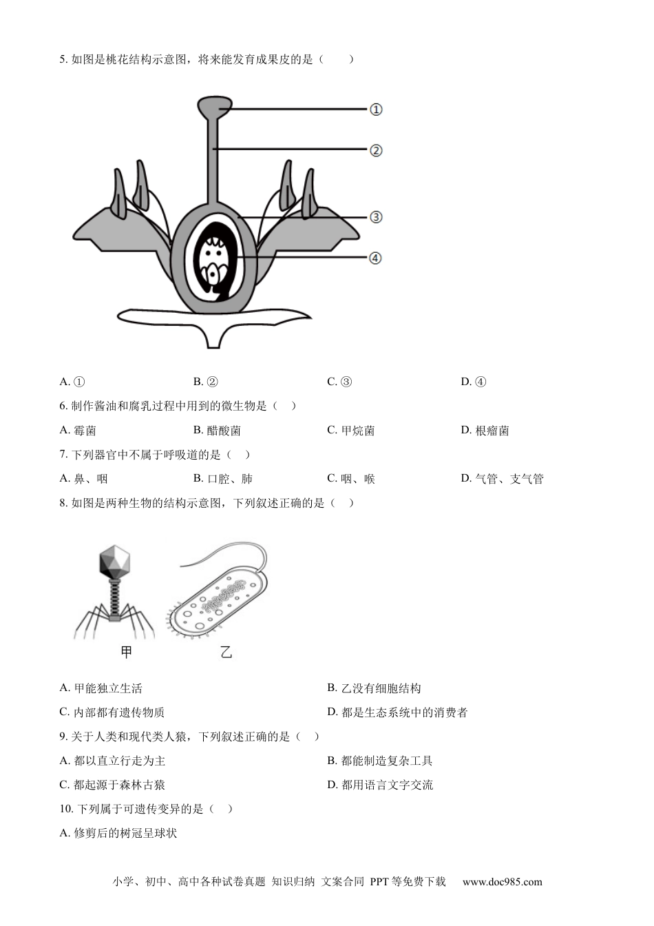 【中考历年真题】精品解析：2024年吉林省中考生物真题（原卷版）.docx