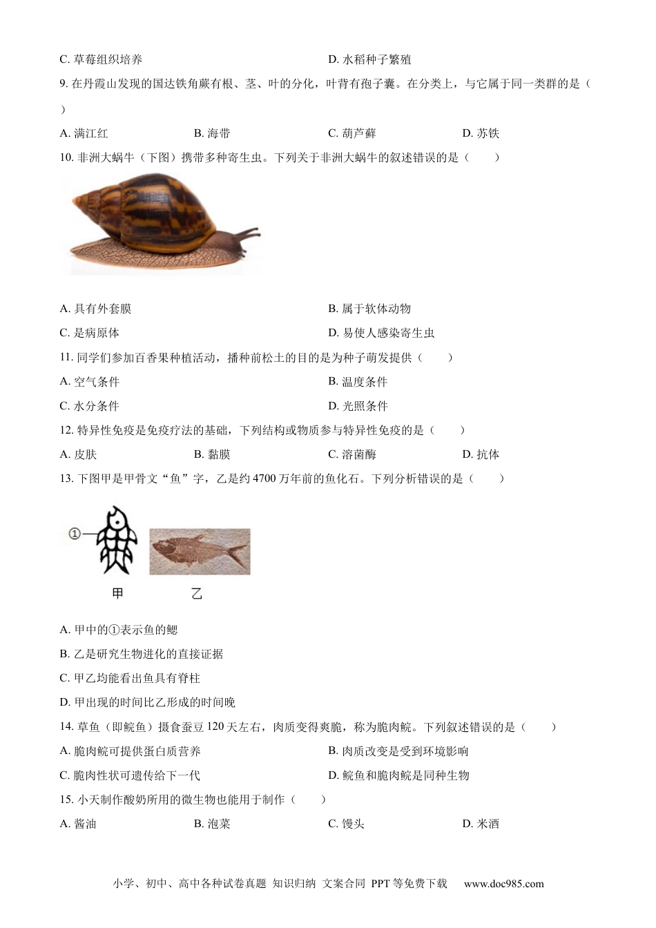【中考历年真题】精品解析：2024年广东省中考生物真题（原卷版）.docx