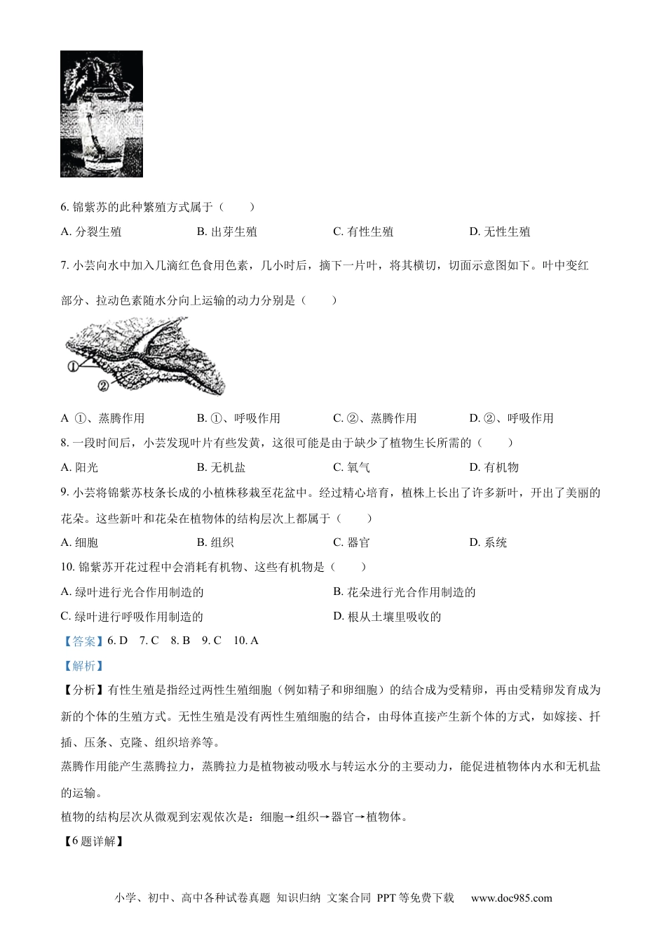 【中考历年真题】精品解析：2023年山西省阳泉市中考生物真题（解析版）.docx