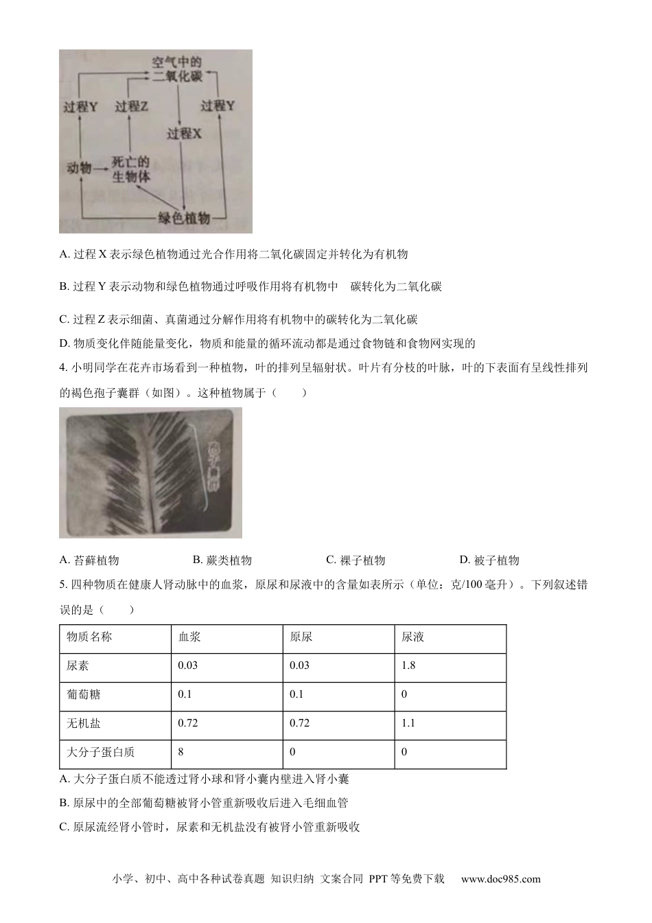 【中考历年真题】精品解析：2023年山东省泰安市中考生物真题（原卷版）.docx