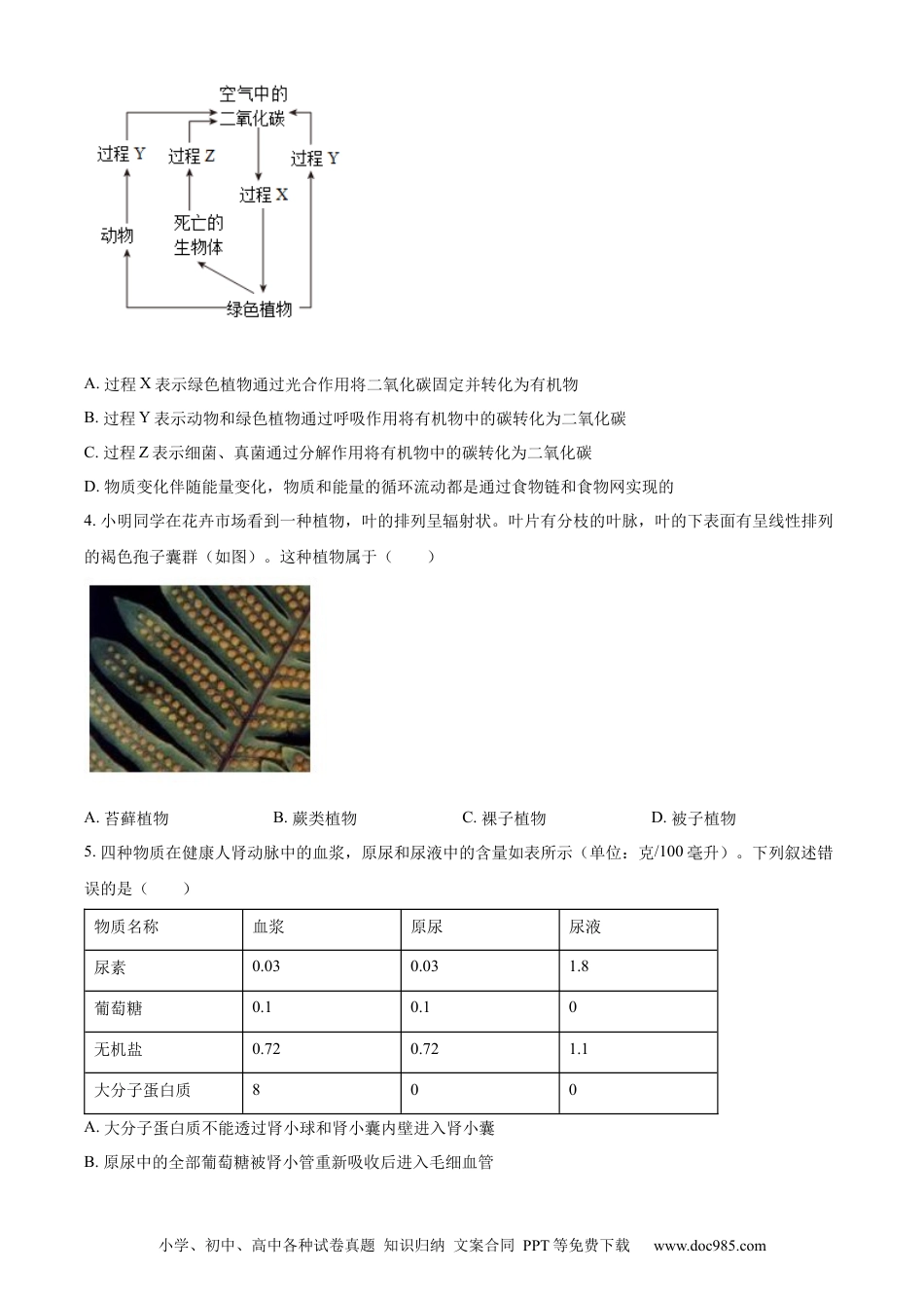 【中考历年真题】精品解析：2023年山东省泰安市中考生物真题（原卷版）(1).docx