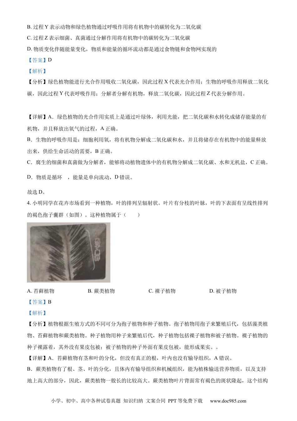 【中考历年真题】精品解析：2023年山东省泰安市中考生物真题（解析版）.docx
