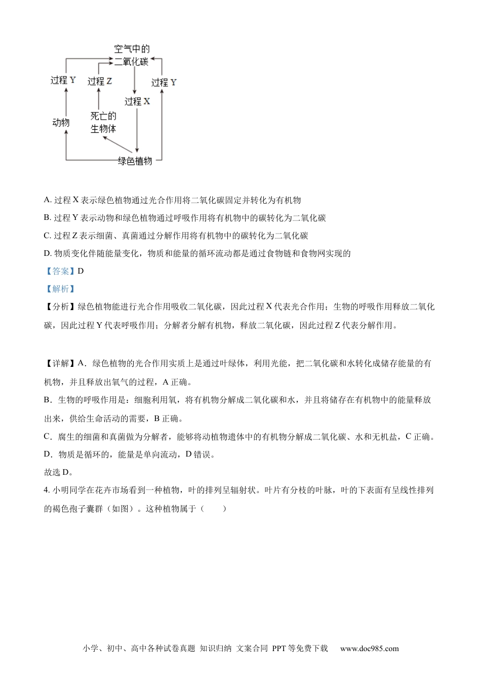 【中考历年真题】精品解析：2023年山东省泰安市中考生物真题（解析版）(1).docx
