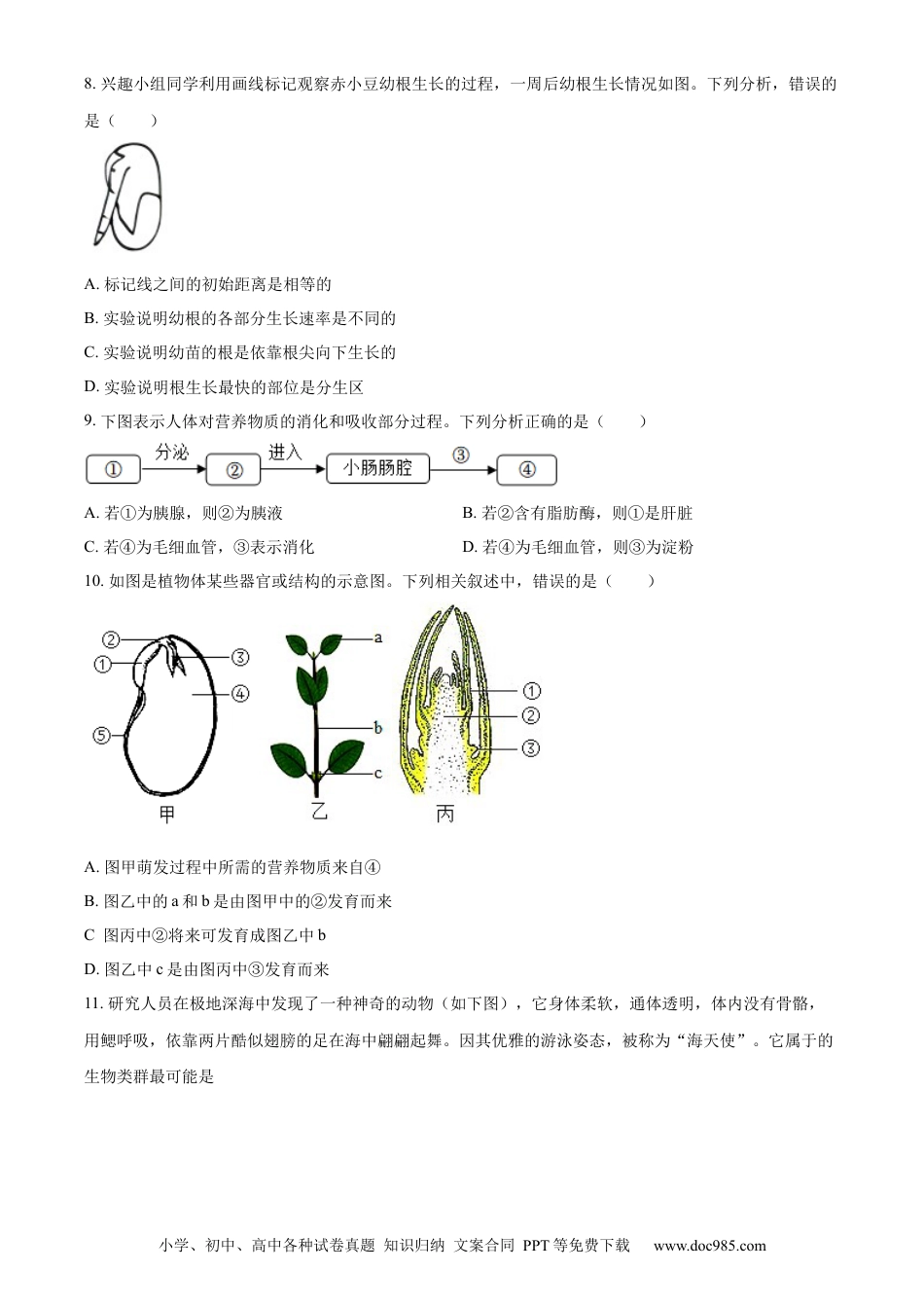 【中考历年真题】精品解析：2023年山东省东营市生物中考真题（原卷版）.docx