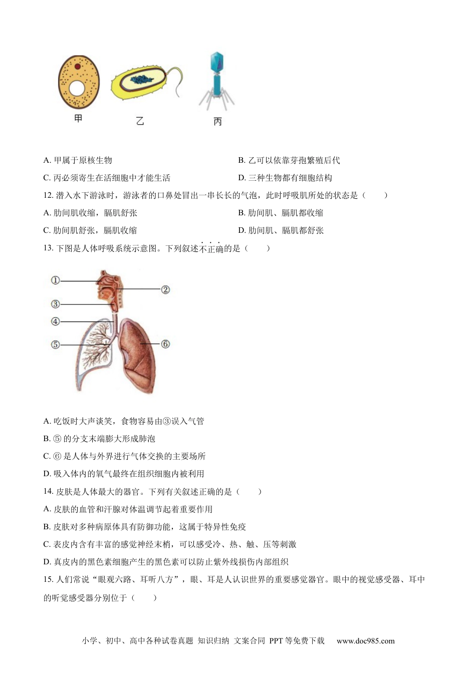 【中考历年真题】精品解析：2023年山东省德州市中考生物试题（原卷版）.docx